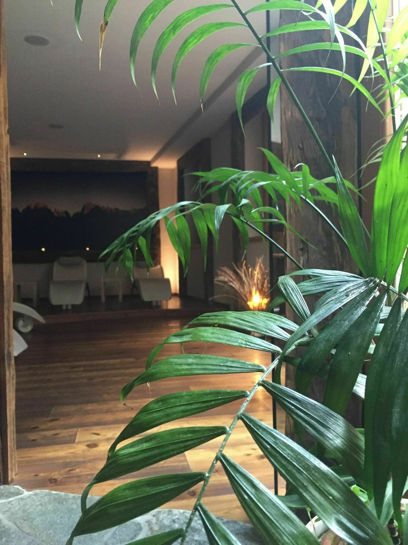 Maribel Hotel Мадонна-ди-Кампильо Экстерьер фото